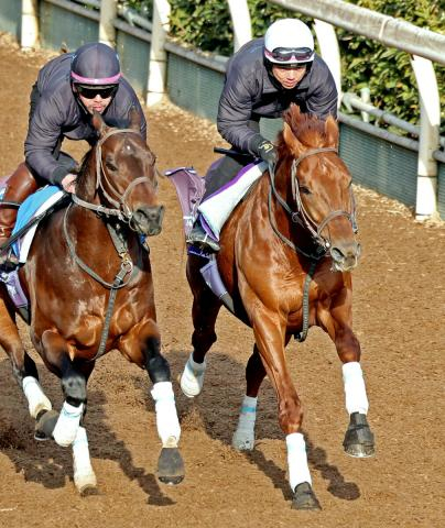 【アメリカJCC】枠順確定　26年ぶり参戦の昨年のダービー馬ダノンデサイルは4枠8番