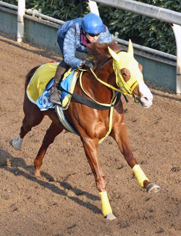 【アメリカJCC】復活へ向けボルドグフーシュが坂路で好気配　宮本調教師「前走と状態が全然違う」