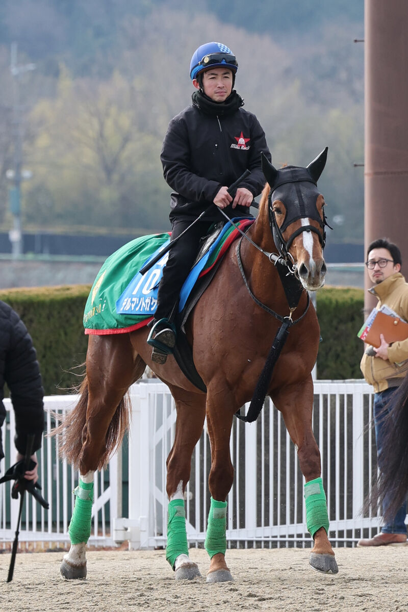 小倉牝馬Sとかいうよくわからんレースより日曜の八幡特別やろうや　他