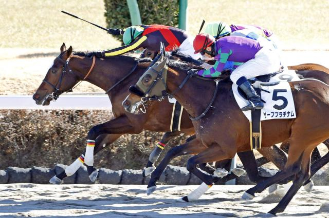 【中山2R・3歳未勝利】伯父も叔父も米G1馬の良血マーキュリーダイムが経験馬相手にV　ルメール騎手「初めての競馬で…」