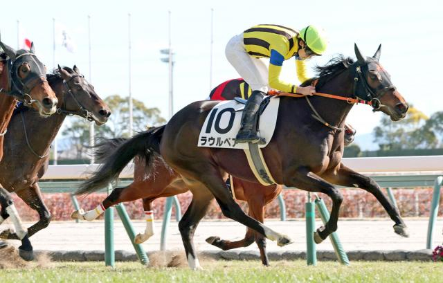 【中京5R・3歳新馬】ラウルベアが差し切り　角田大和騎手「新馬とは思えない内容」