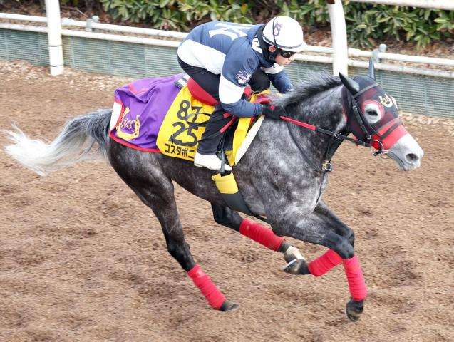 【注目馬動向】昨年の福島牝馬S覇者コスタボニータが引退　社台ファームで繁殖入りへ