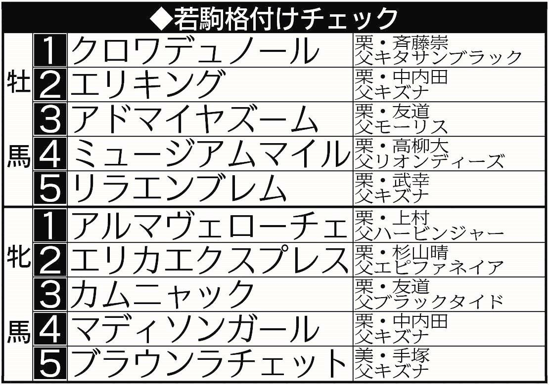 【３歳馬格付けチェック】エリカエクスプレスが牝馬２位浮上　無傷で重賞Ｖ＆好タイム評価