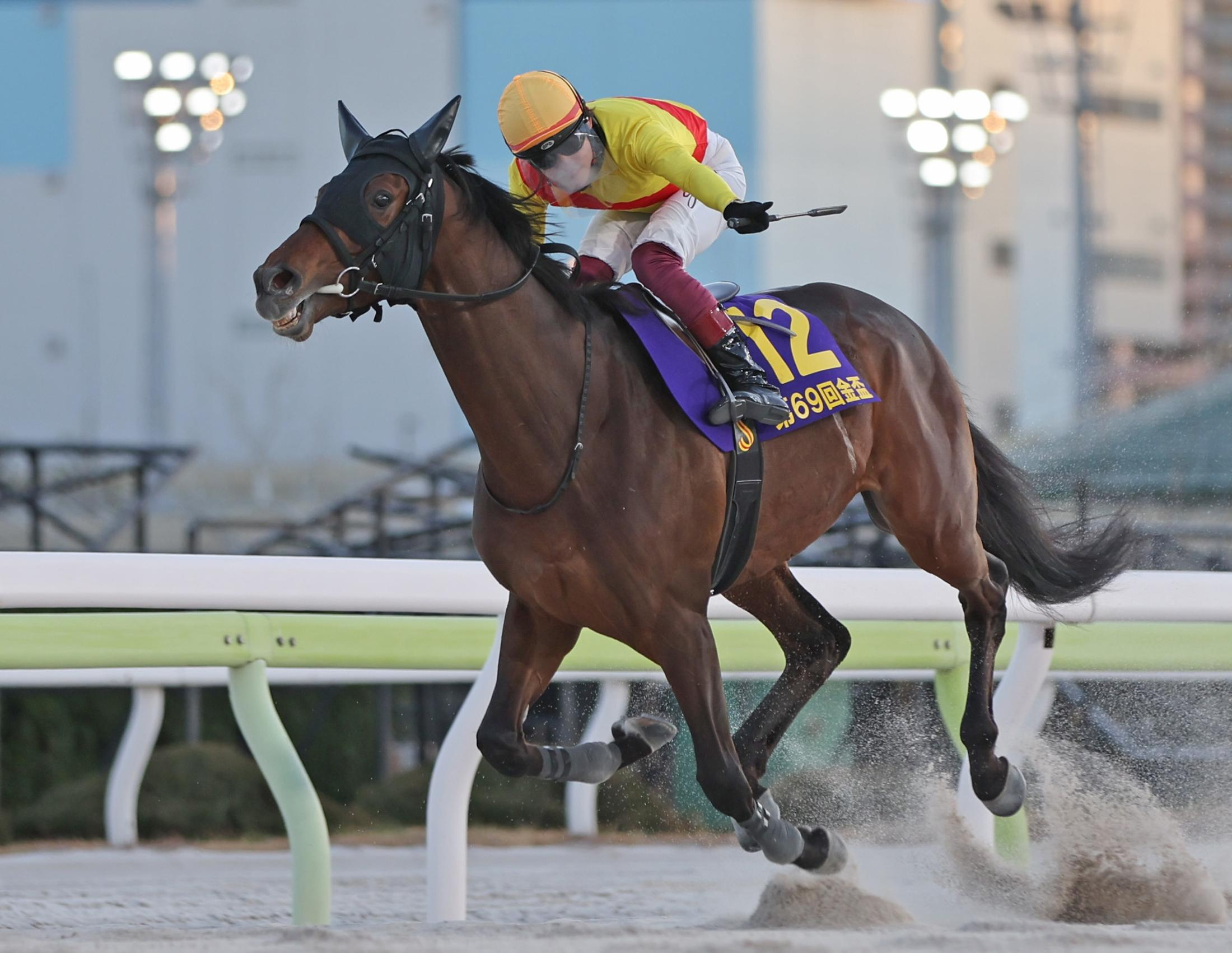 【地方競馬】転入初戦のキリンジがぶっちぎりで重賞初制覇！