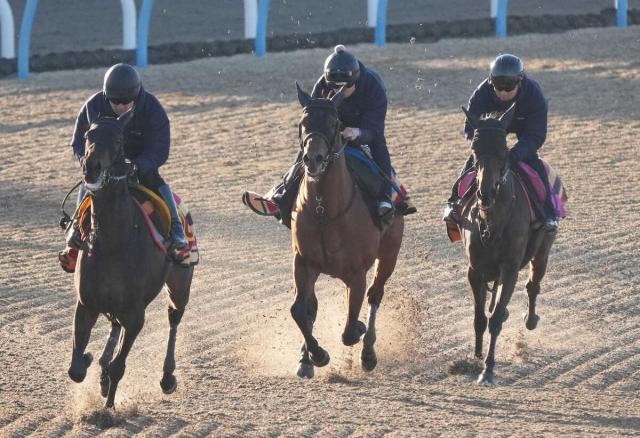 【根岸S】コスタノヴァ　スムーズに加速、陣営「少し動きに重苦しさがあるけど…」