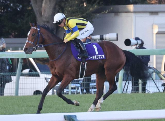 ソールオリエンス　川田と再コンビで京都記念へ