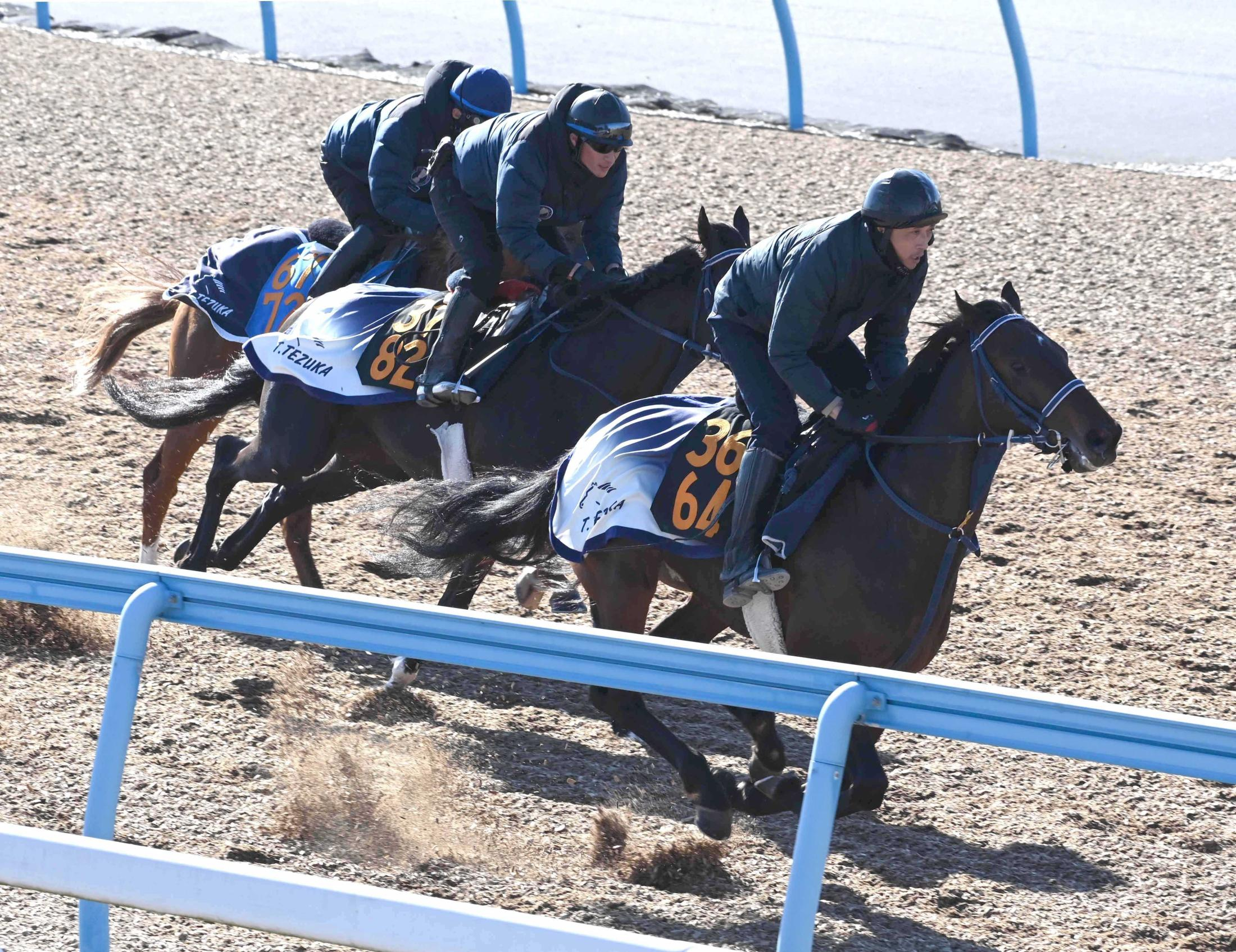 【セントポーリア賞】手塚師　ゆかりの血統ベストシーンで大舞台へ　厩舎のレース連覇も懸かる一戦に気合