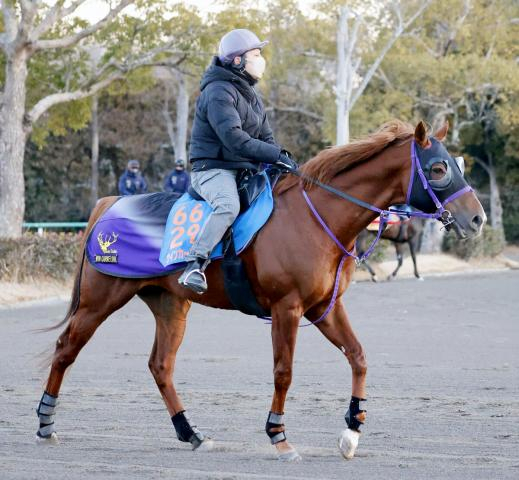 【シルクロードS】京阪杯組が京都開催3連勝中!ハンデ59キロも割り引き必要ない2着馬