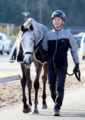 【シルクロードS】コロナ禍で優勝レイをかけられなかった姉の分も妹カピリナには勝ってセレモニーを…担当調教助手の思い