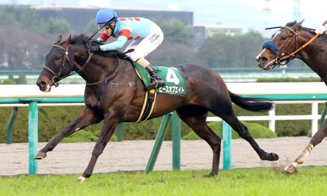 2022年毎日杯勝ち馬ピースオブエイトが現役引退　今後は北海道で乗馬に