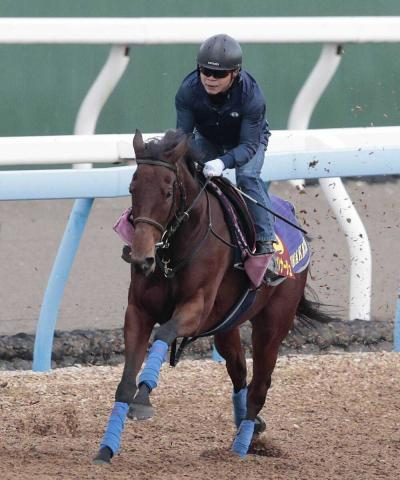 土曜東京競馬場の注目激走馬…東京11R白富士ステークス(L)