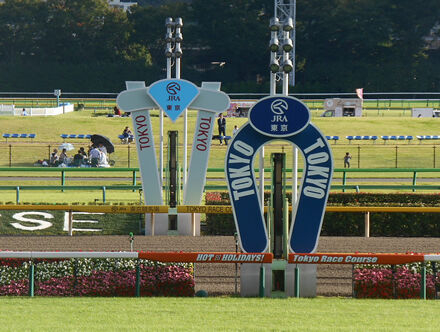 2着の馬が100点満点の競馬したのに、1着の馬が120点の競馬して負けたレース