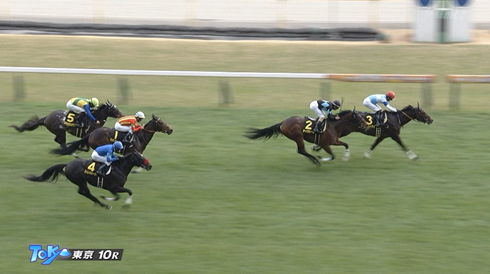 【クロッカスS】クラスペディア初勝利ｷﾀ━━━━(ﾟ∀ﾟ)━━━━!!