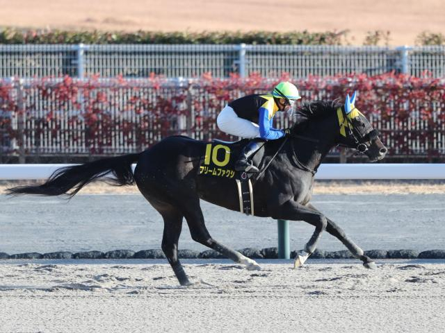 【今日の注目ポイント】東京で根岸Sと京都でシルクロードS