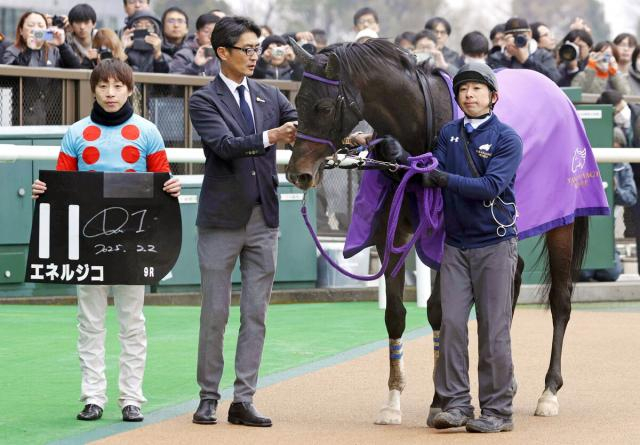 【東京9R・セントポーリア賞】エネルジコが父子制覇で無傷2連勝　池添謙一騎手「まだ伸びしろがある」