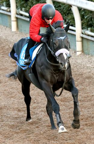 【根岸S】1番人気のフリームファクシは6着　芝&ダートの二刀流重賞制覇はお預け