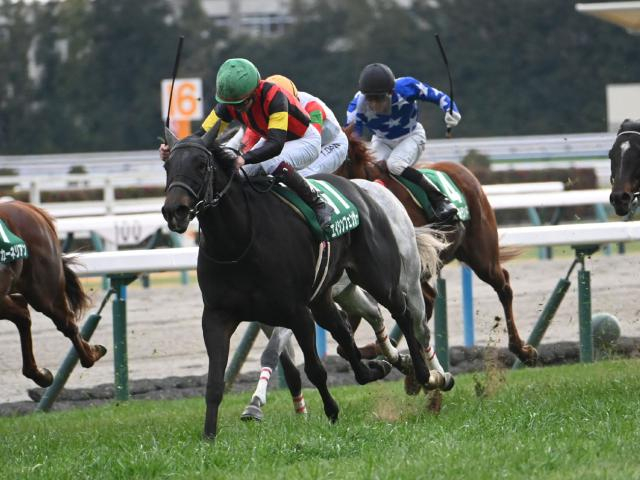 【JRA・WIN5】小倉・京都メインの波乱で的中5票、配当1億2130万4820円