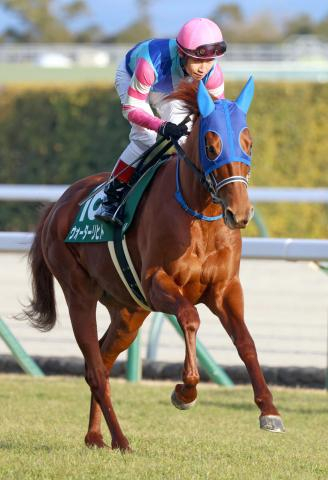 【東京新聞杯・理貴の特注馬】本格化の兆し見せるウォーターリヒトに重賞初制覇の絶好機到来