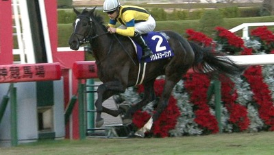 【競馬】チューリップ賞で大勝負する