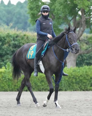 【ゆりかもめ賞】良血リアンベーレ　武豊で連勝狙う!手塚師「試金石ですね」