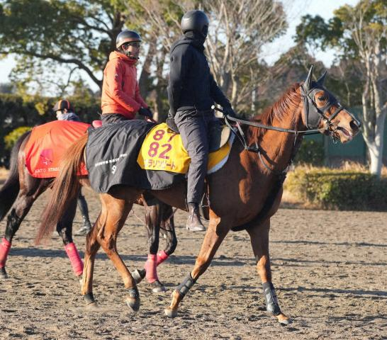 【東京新聞杯】コラソンビート　当週の良化期待、加藤士師「いい頃と比べるとまだひと息」