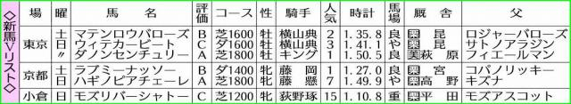 【新馬戦総括】ダノンセンチュリー距離延びても楽しみ