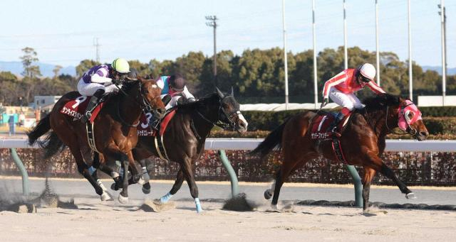 サンデーファンデーは鮫島駿とコンビ継続、サンライズジパングは幸との新コンビでフェブラリーS参戦