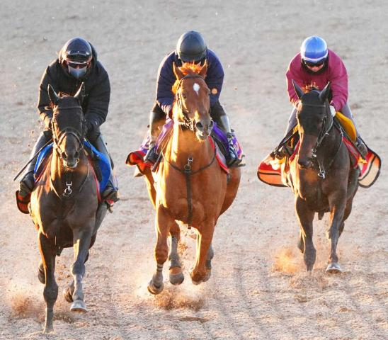 【東京新聞杯】ジオグリフ　軽快に脚伸ばす、陣営「競馬までにどれだけフィットしてくれるか」