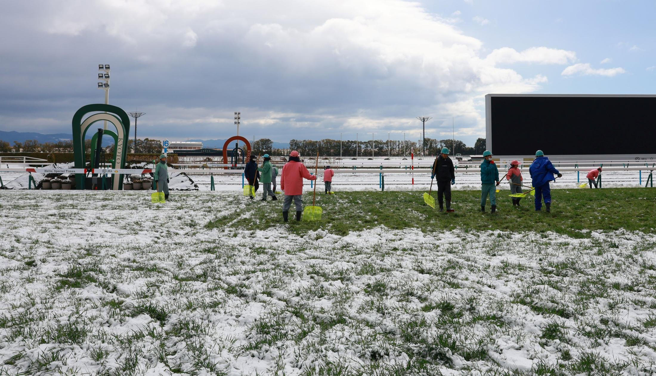 京都競馬が約８年１カ月ぶりの中止も競馬場スタッフの懸命な除雪で芝コースに緑戻る　１０日に代替競馬を開催