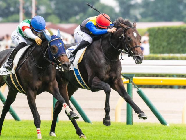 【ゆりかもめ賞】母は三冠牝馬のアパパネ アマキヒが巻き返して2勝目なるか