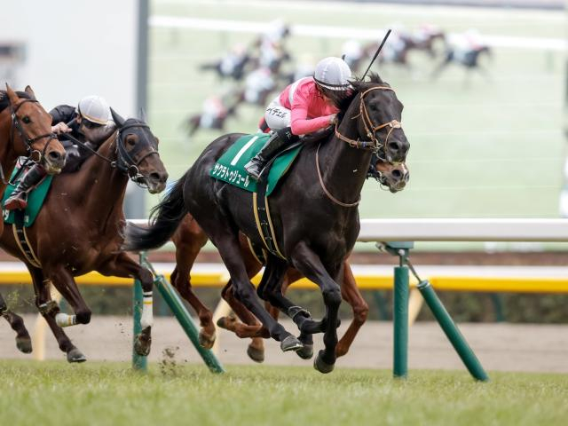 東京新聞杯は内枠＆先行馬重視