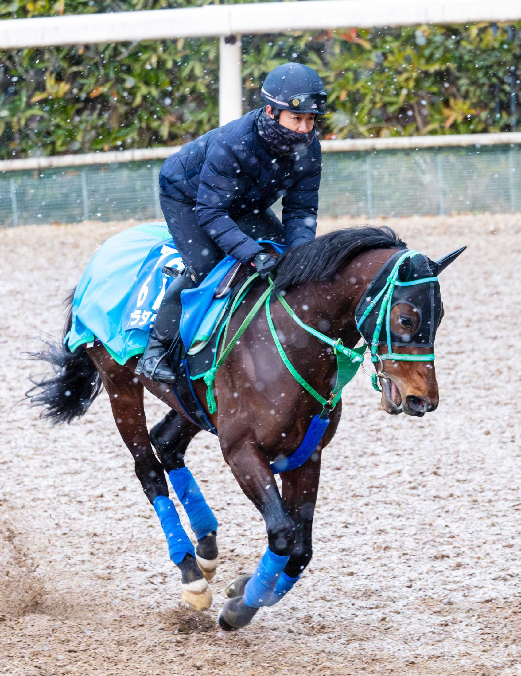 【京都記念】プラダリア　Ｖ条件そろった　池添師「長く脚を使える」京都芝外回り相性抜群