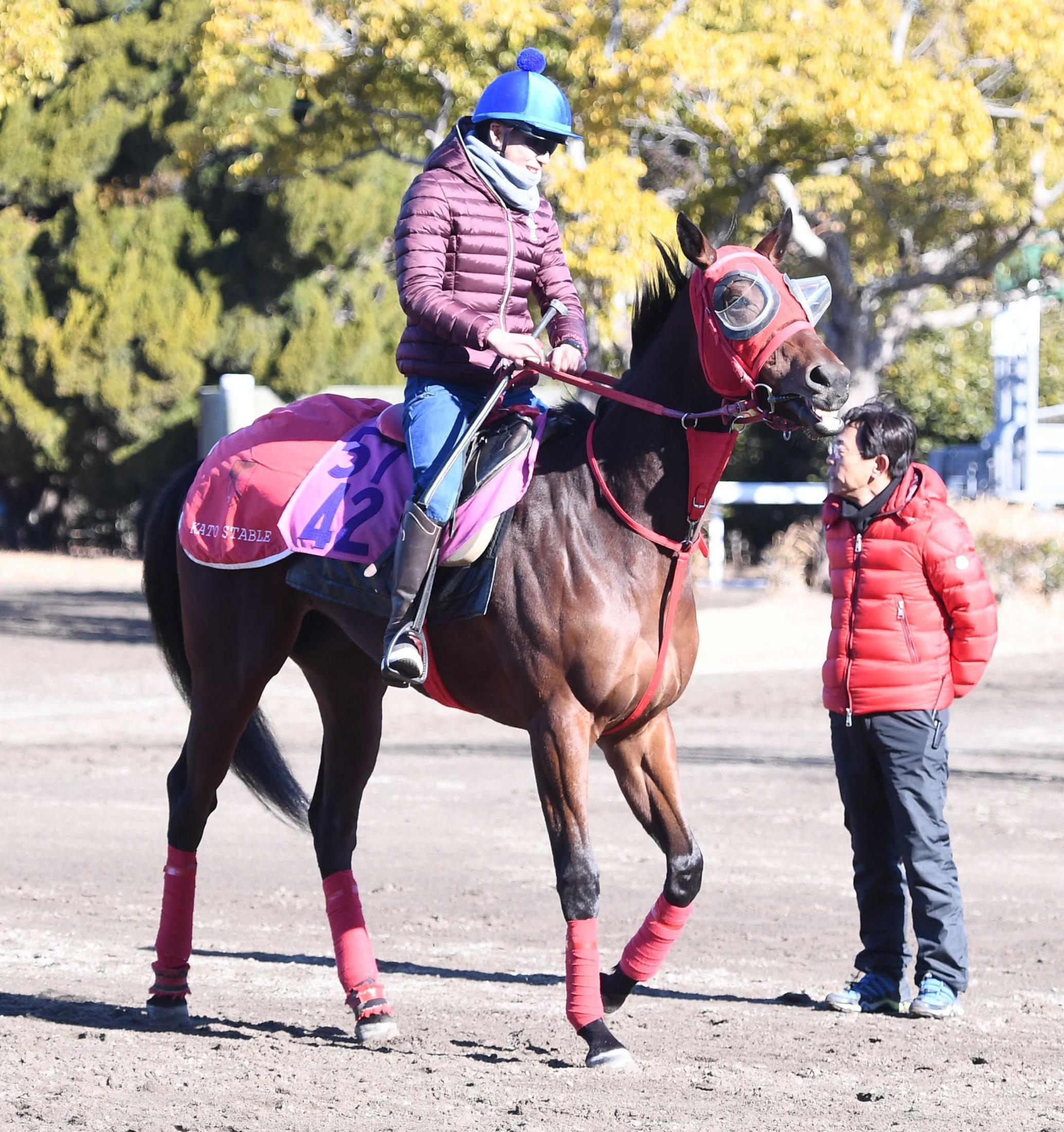 【デイリー杯クイーンＣ】ロートホルン　超スピード　前走Ｖ時計クロワデュノール超え！Ｇ１級速力披露だ