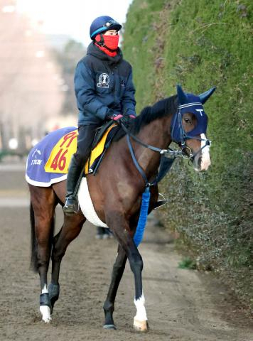 【注目馬動向】東京新聞杯2着のボンドガールは阪神牝馬Sへ