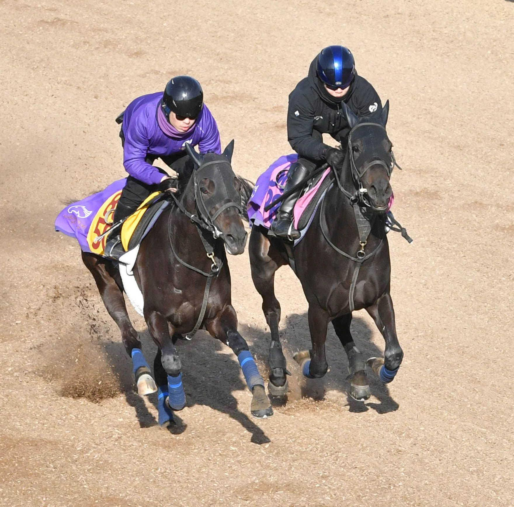 【デイリー杯クイーンＣ】エストゥペンダ　切れ味抜群　高柳瑞師手応え「動きも良く、時計もいい」