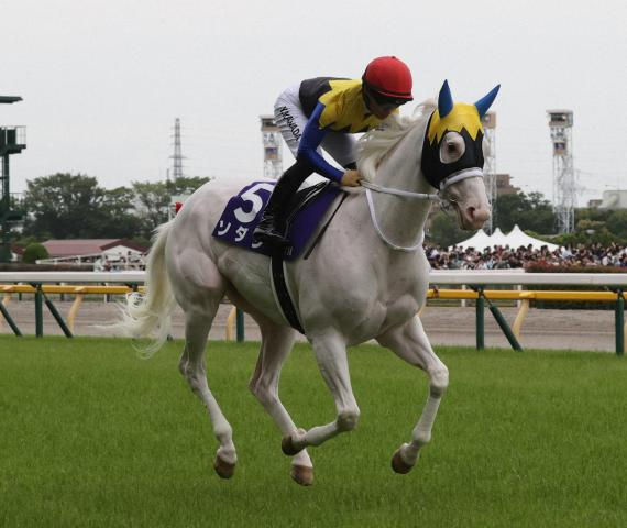 “白毛のアイドル”ソダシ初子誕生　父イクイノックスに似た牝馬