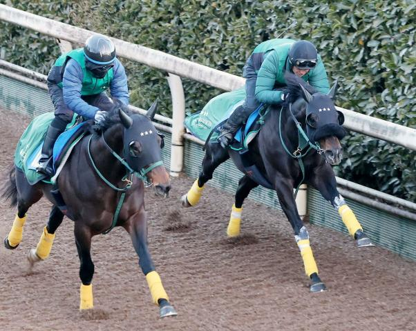 【京都記念】長期休養明け2走目のセイウンハーデスが鋭い伸び　イクイノックス世代の6歳馬が完全復活へ順調