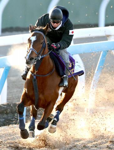 【京都記念】ソールオリエンスが活気ある動き　手塚久調教師「元気いいですよ」あす京都へ輸送