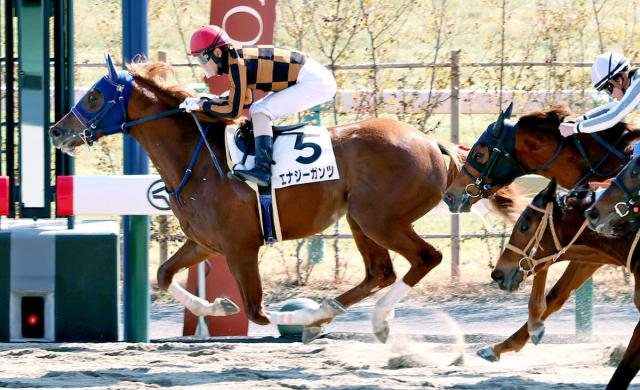 【京都5R・3歳新馬】エナジーガンツで小椋厩舎は初の新馬V　北村友一騎手「歩いてる雰囲気は全然集中してなかった」