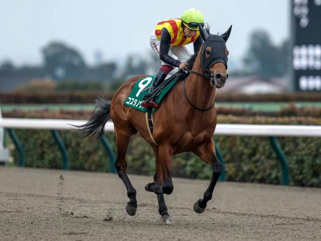 ダートのマイル王決定戦フェブラリーSなど4重賞/今週の競馬界の見どころ