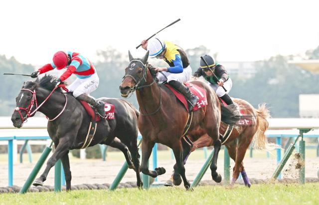 【京都記念】ディープインパクト産駒7歳馬、激戦制し重賞3勝目!父に16年連続タイトル贈った　今後は大阪杯が大目標