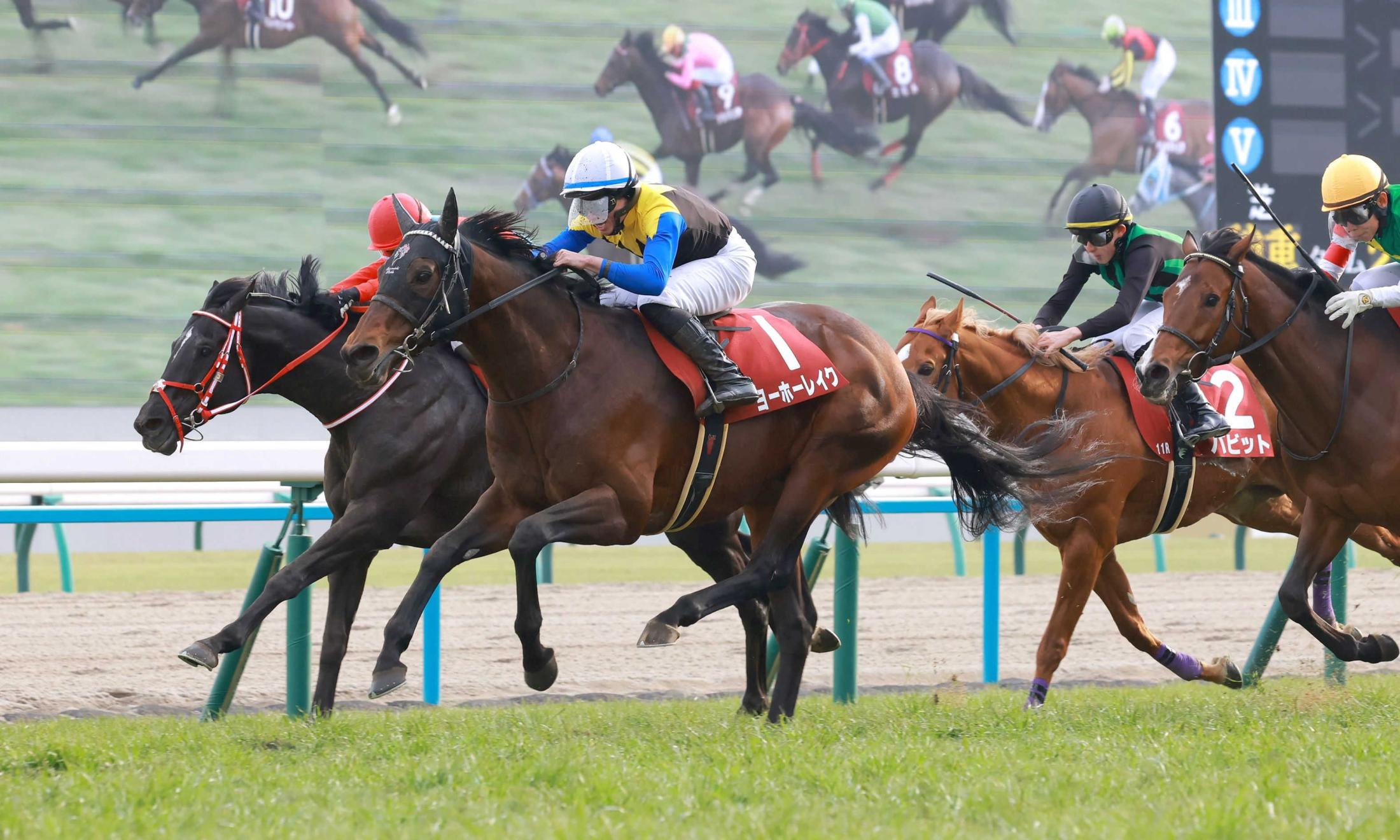 【京都記念】ヨーホーレイク　重賞３勝目　父ディープインパクト１６年連続重賞星　不屈の７歳馬がさらなる成長へ