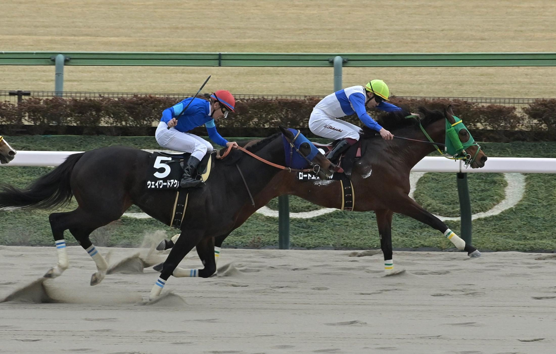 【バレンタインＳ】ロードエクレール　鮮やか逃げ切り押し切ってＶ　横山武「しぶとさを生かすために、思い切って行きました」