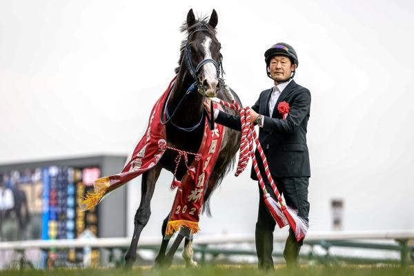 【共同通信杯】マスカレードボールがレースレコードタイの快勝 クラシック候補に名乗りを上げる