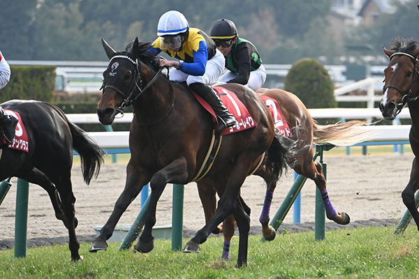 【フェブラリーS AI予想】先週は推奨馬が快勝！ 絶好調なAIが挙げた伏兵の動向に注目