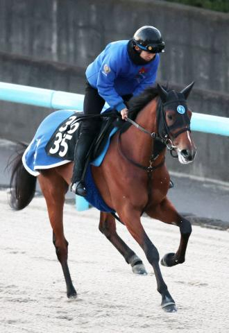 【3歳・注目馬動向】若駒S2着のミッキーゴールドは若葉Sを予定　良血・エムズは大寒桜賞