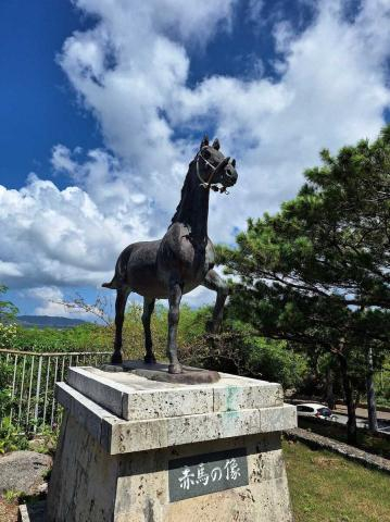 JRA初沖縄県出身騎手の上里直汰　赤馬節のような活躍期待