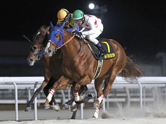 【フェブラリーS展望】条件満たす4歳馬ミッキーファイトが狙い目