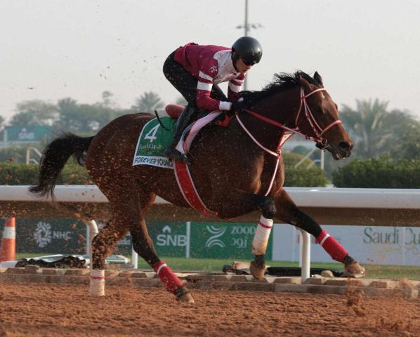 【サウジC】フォーエバーヤング不安なし!“世界のYAHAGI”が頂点へ　坂井「堂々としている」