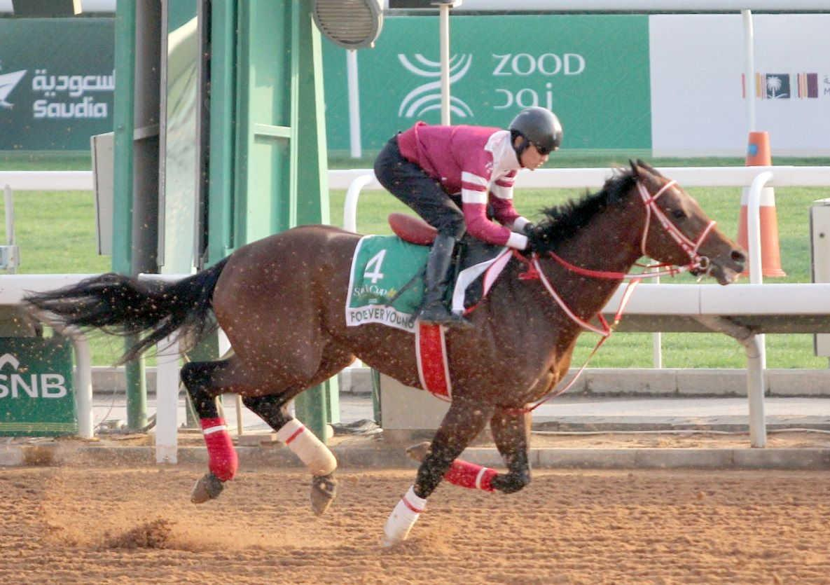 【サウジＣ】フォーエバーヤング最高潮リハ　国内負けなし砂の王者　海外Ｇ１初Ｖへ坂井「勝てる」